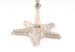 ND057 Star Fish Candle Holder 